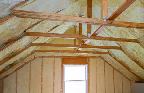 Best Geographic-Specific Insulation Services in Gorman, TX