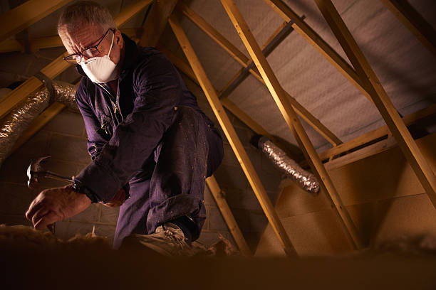 Best Specialized Insulation Services in Gorman, TX